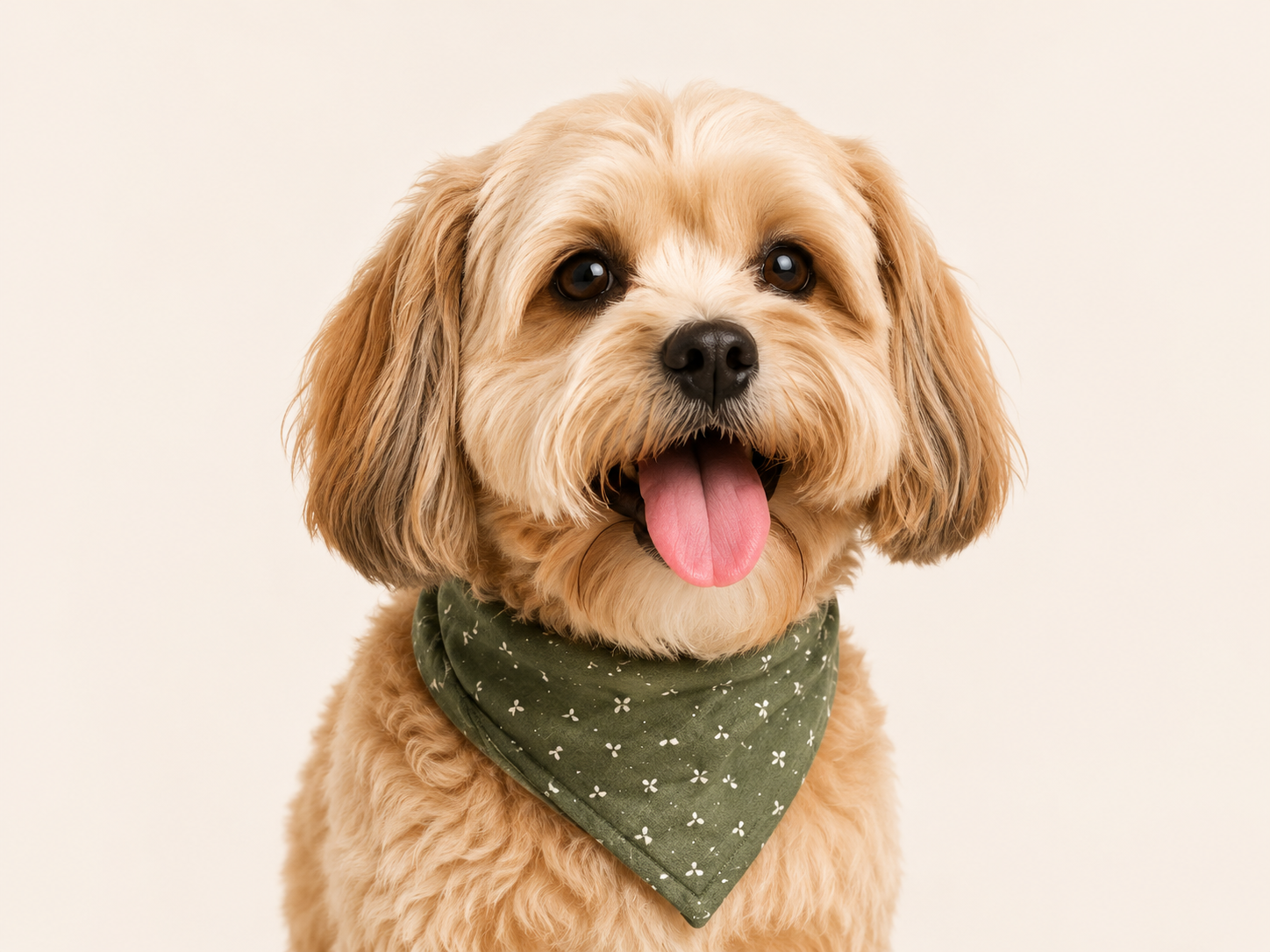 For Dogs