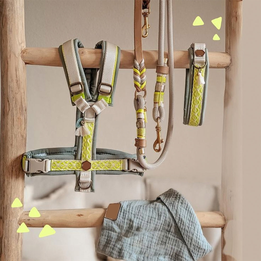 Dog Harness