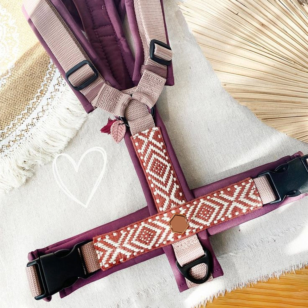 Dog Harness