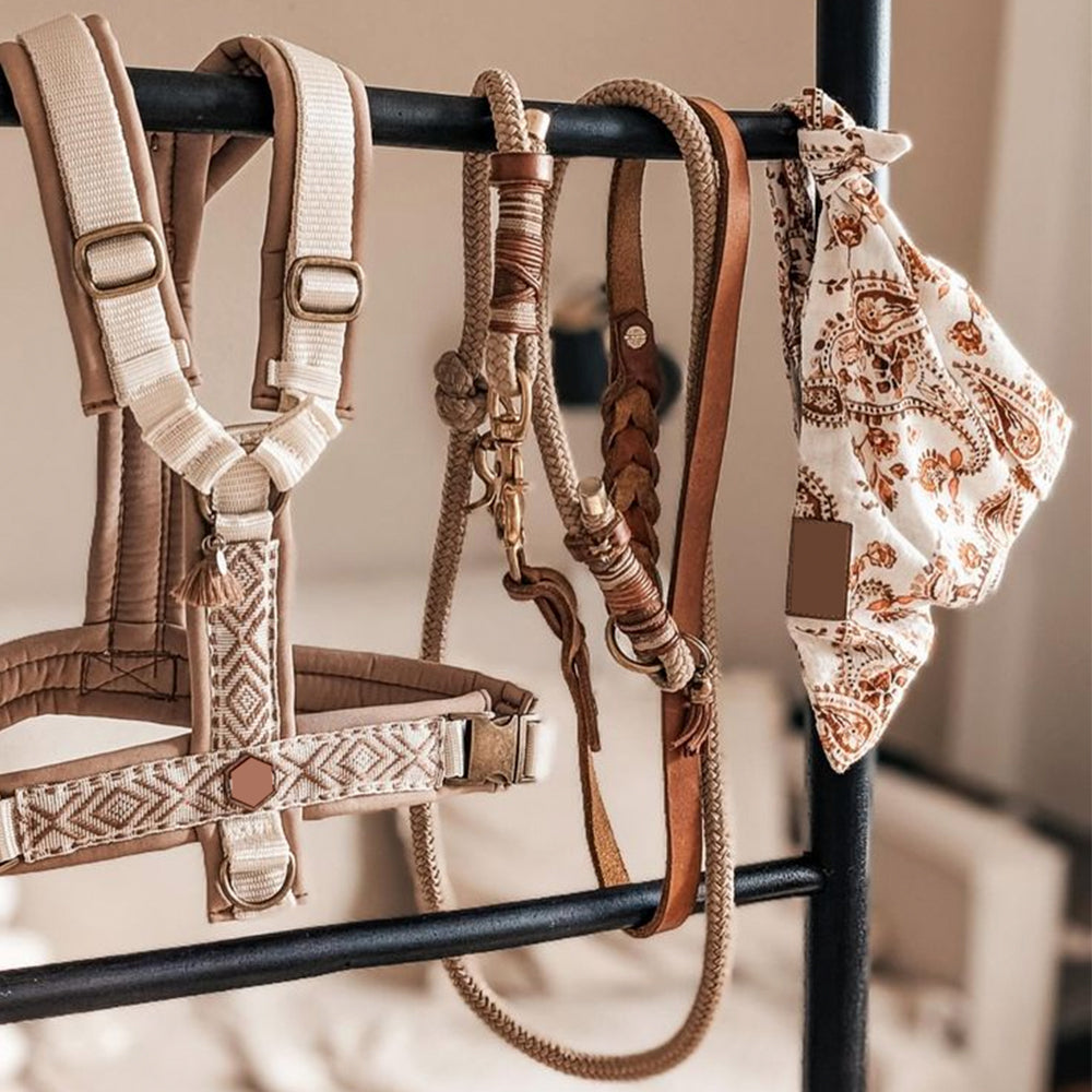Dog Harness