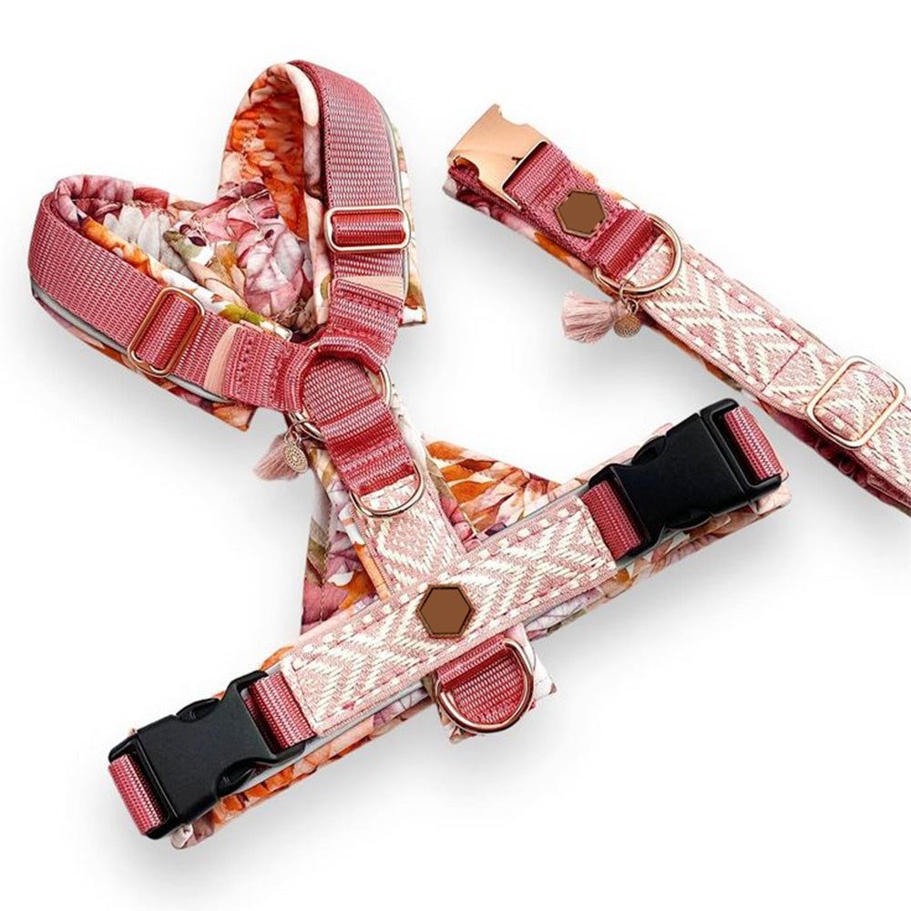Dog Harness