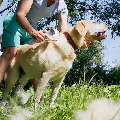 EasyGlide Pet Grooming Brush