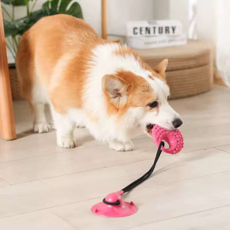 Tug & Treat Suction Toy
