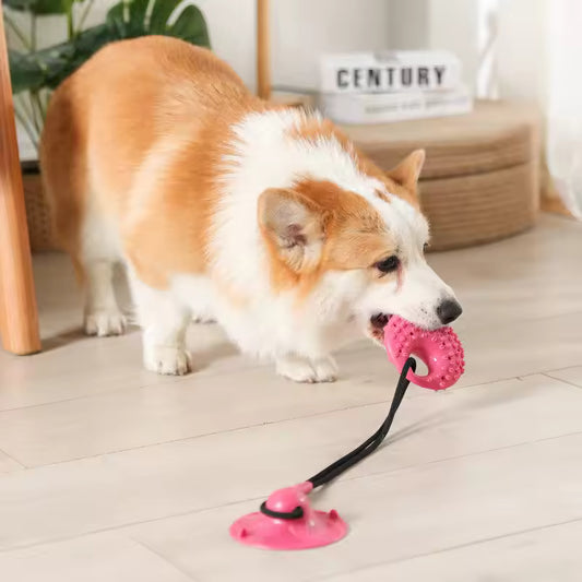 Tug & Treat Suction Toy