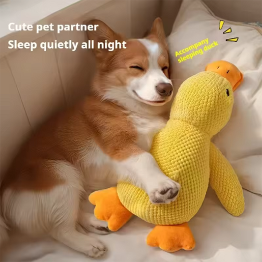 Quacky Cuddle Duck – Soft Plush Pet Toy, Small
