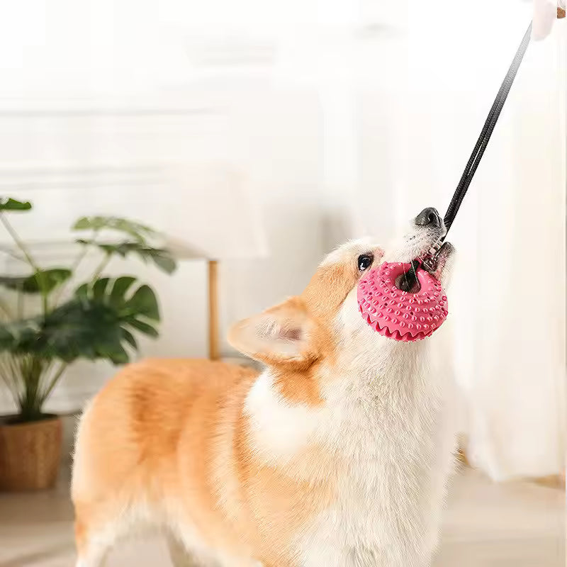 Tug & Treat Suction Toy