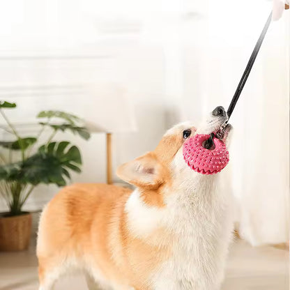 Tug & Treat Suction Toy